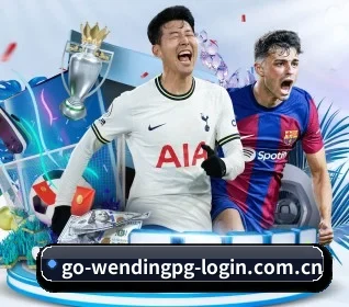 go-wendingpg-login.com.cn APP