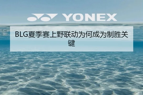 BLG夏季赛上野联动为何成为制胜关键